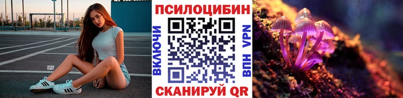 ссылка на мегу зеркало Саянск Псилоцибиновые грибы Psilocybine cubensis